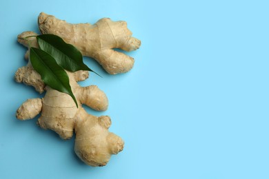 Photo of Fresh ginger with green leaves on pale light blue background, flat lay. Space for text