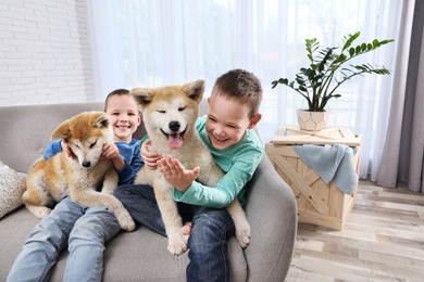 Photo of Happy boys with Akita Inu dogs on sofa in living room. Little friends