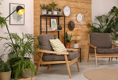 Photo of Stylish room interior with beautiful green plants and comfortable furniture