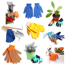 Image of Set with different gardening tools and bright gloves on white background