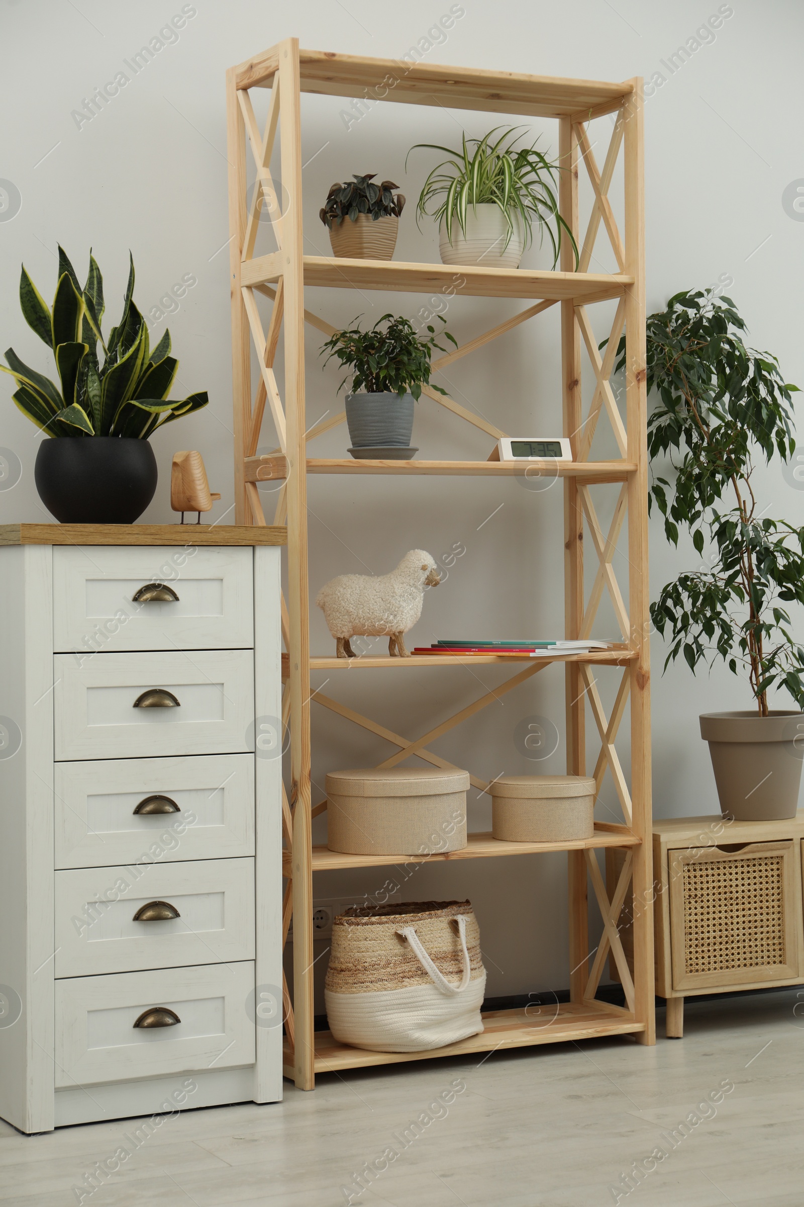 Photo of Stylish room interior with wooden furniture and beautiful green houseplants