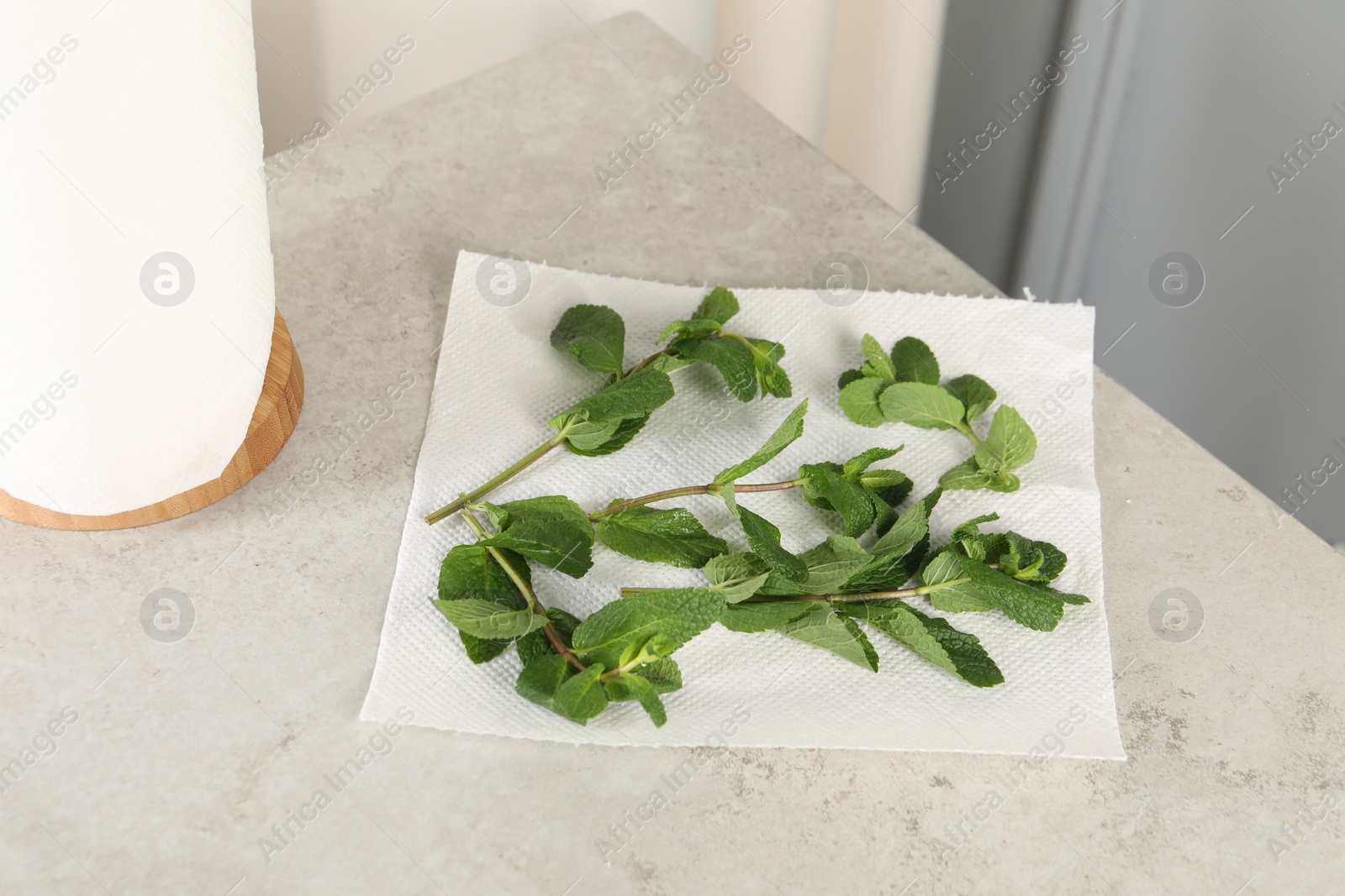 Photo of Mint drying on paper towel on light table indoors