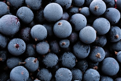 Tasty frozen black currants as background, top view