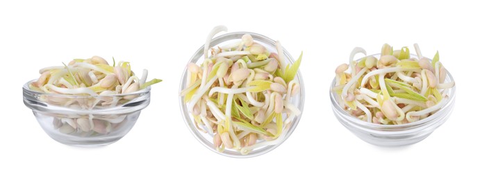 Image of Many mung bean sprouts in glass bowl on white background, different sides