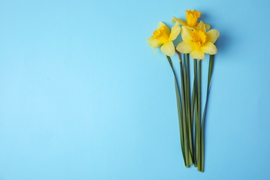 Photo of Bouquet of daffodils on color background, top view with space for text. Fresh spring flowers
