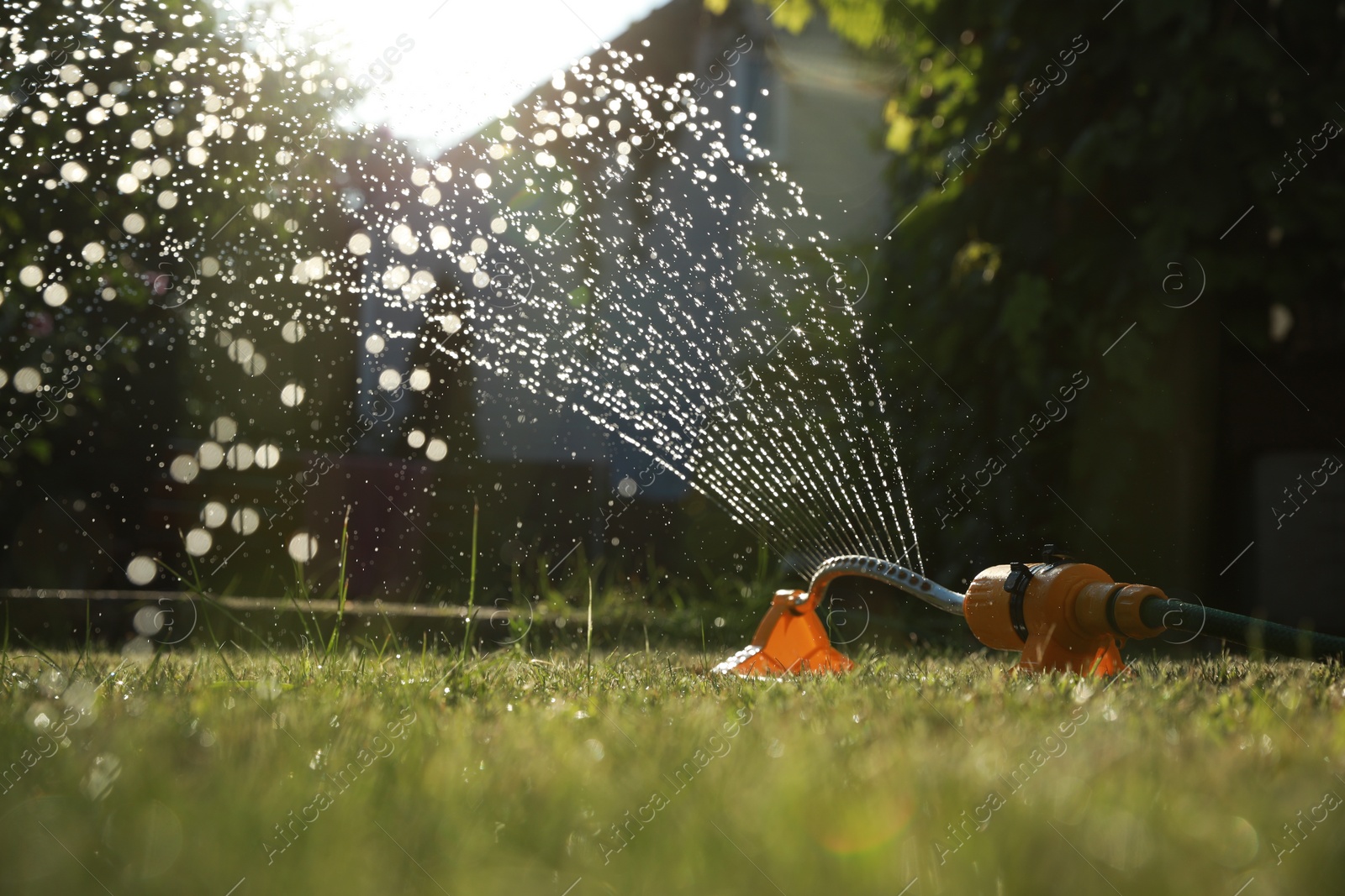 Photo of Automatic sprinkler watering green grass on sunny day in garden. Irrigation system