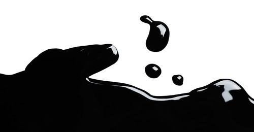 Photo of Black glossy paint spilled on white background, top view