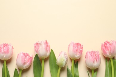 Photo of Beautiful colorful tulip flowers on beige background, top view. Space for text