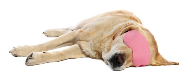 Photo of Cute Labrador Retriever with pink sleep mask resting on white background