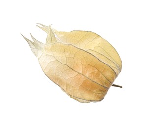 Ripe physalis fruit with calyx isolated on white