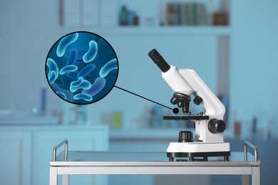 Image of Examination of sample with bacteria under microscope in laboratory