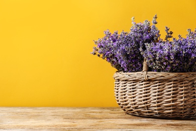 Photo of Basket with fresh lavender flowers on wooden table against yellow background. Space for text
