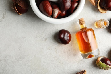 Photo of Flat lay composition with fresh horse chestnuts and extract on grey table. Space for text
