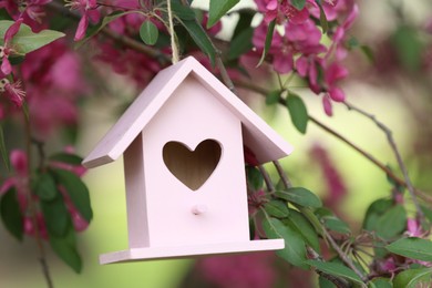 Photo of Wooden bird house on blossoming tree outdoors