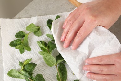Photo of Woman wiping mint with paper towel at light table, closeup