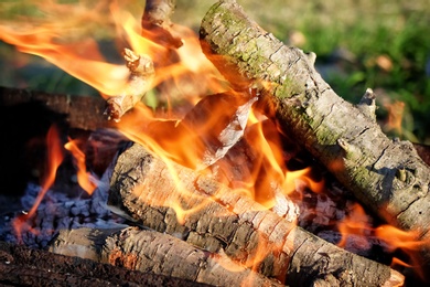 Photo of Burning firewood outdoors on sunny day, closeup