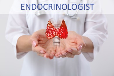 Image of Endocrinologist holding thyroid illustration on light background, closeup