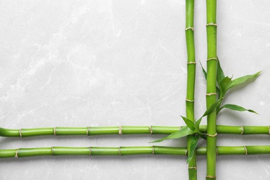 Photo of Green bamboo stems on light background, top view. Space for text